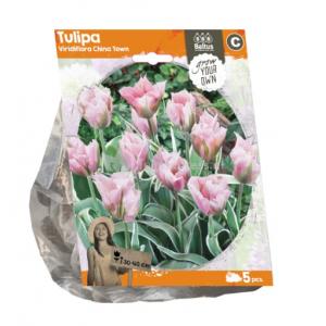 Baltus Tulipa Viridiflora China Town tulpen bloembollen per 5 stuks